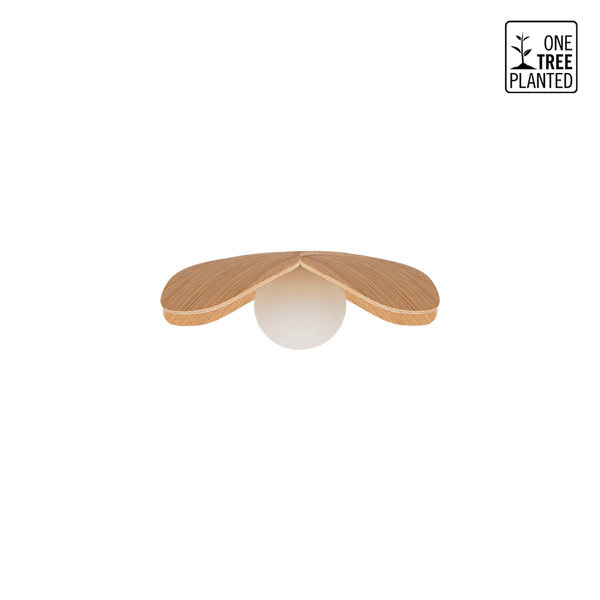 Microsoftteams Image 14 89B1b780 818A 4367 8275 E8adc7861900.png