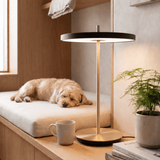 UMAGE_Lifestyle_Asteria Air_Table_Brass_Black_cropped.png
