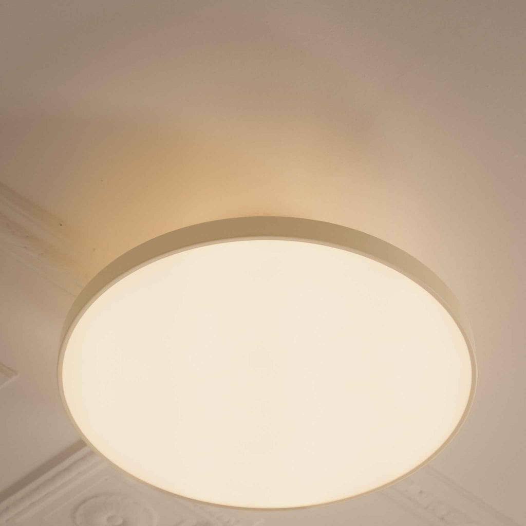 2329