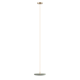 2764